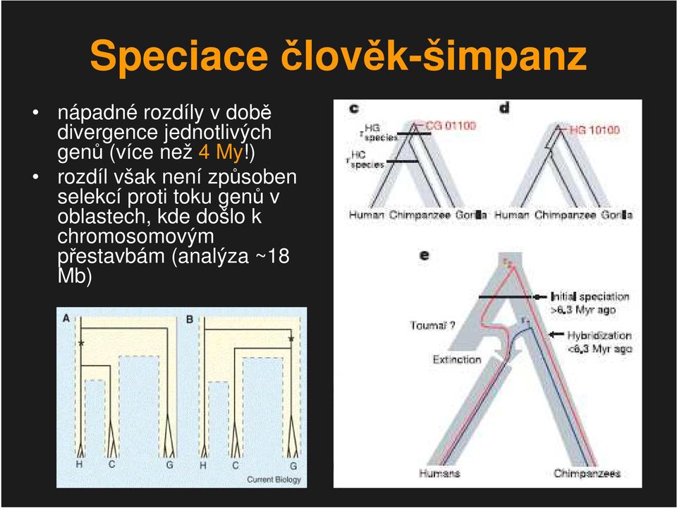 ) rozdíl však není způsoben selekcí proti toku genů