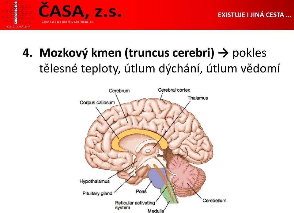 pokles tělesné