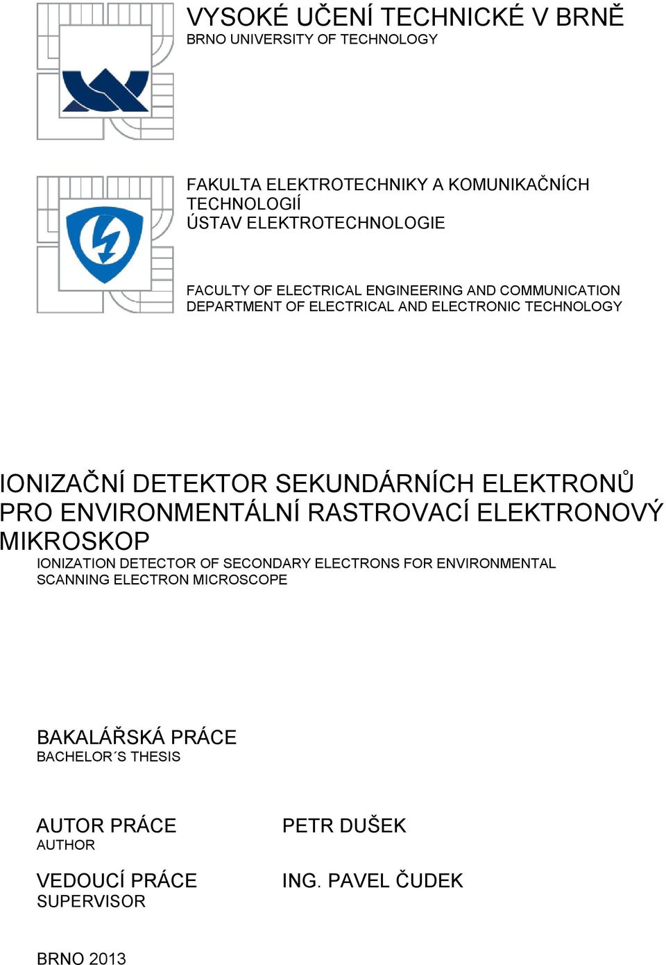 DETEKTOR SEKUNDÁRNÍCH ELEKTRONŮ PRO ENVIRONMENTÁLNÍ RASTROVACÍ ELEKTRONOVÝ MIKROSKOP IONIZATION DETECTOR OF SECONDARY ELECTRONS FOR