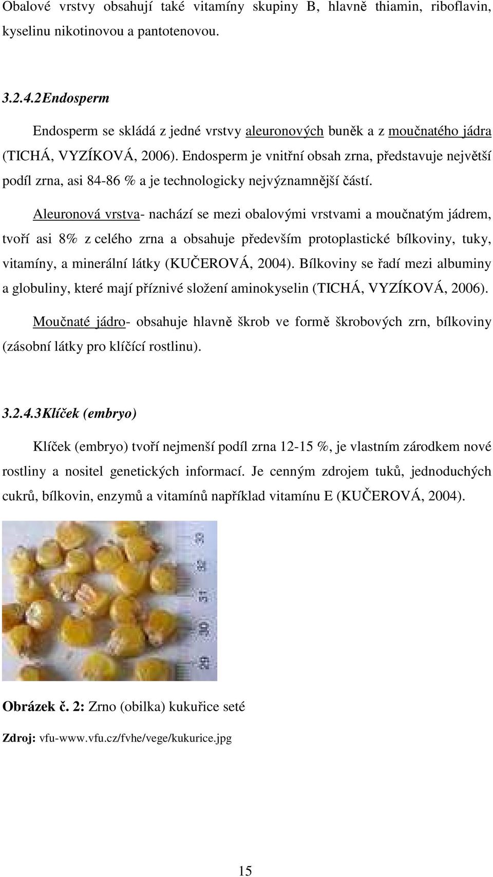 Endosperm je vnitřní obsah zrna, představuje největší podíl zrna, asi 84-86 % a je technologicky nejvýznamnější částí.