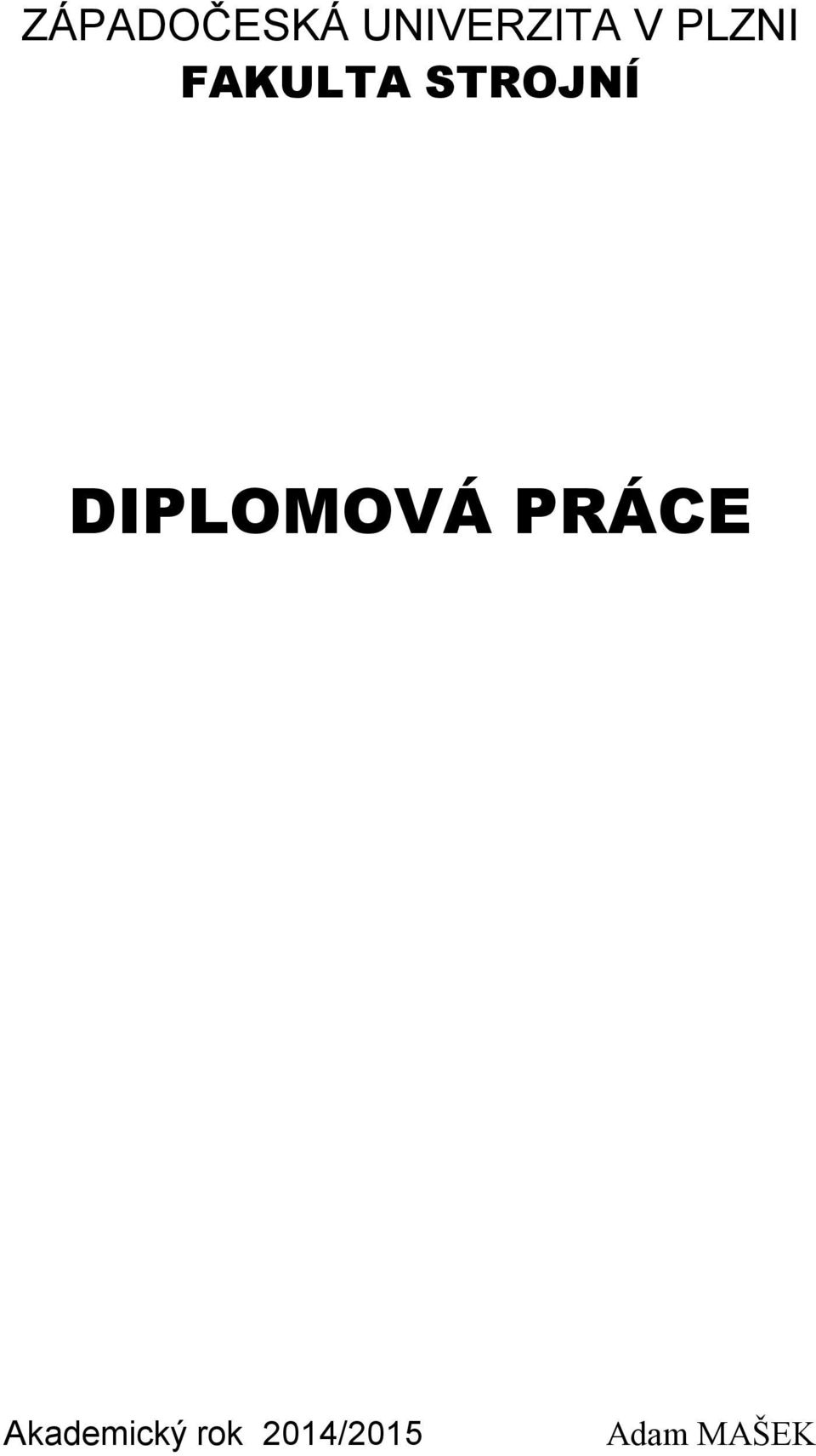 DIPLOMOVÁ PRÁCE