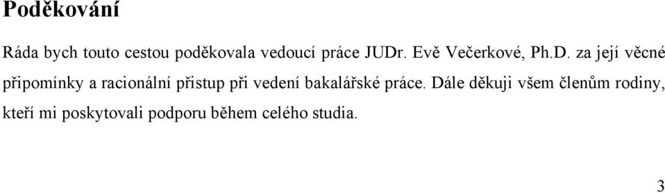 racionální přistup při vedení bakalářské práce.