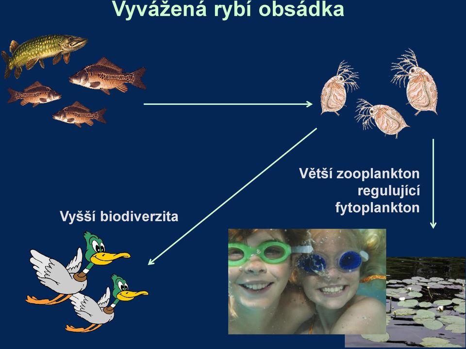 biodiverzita Větší