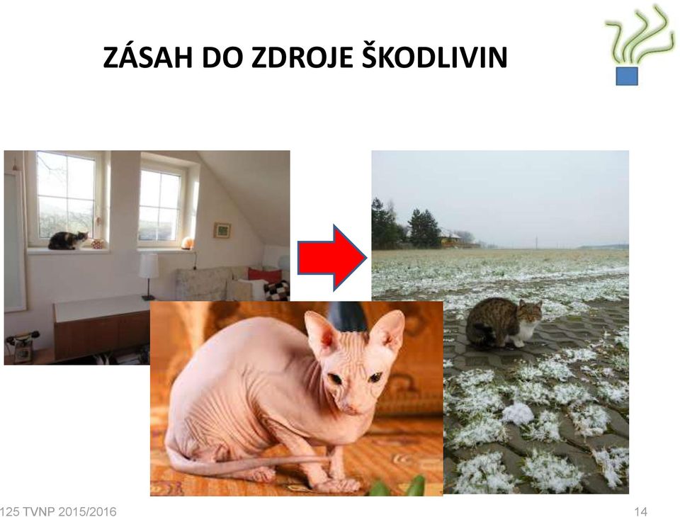 ŠKODLIVIN