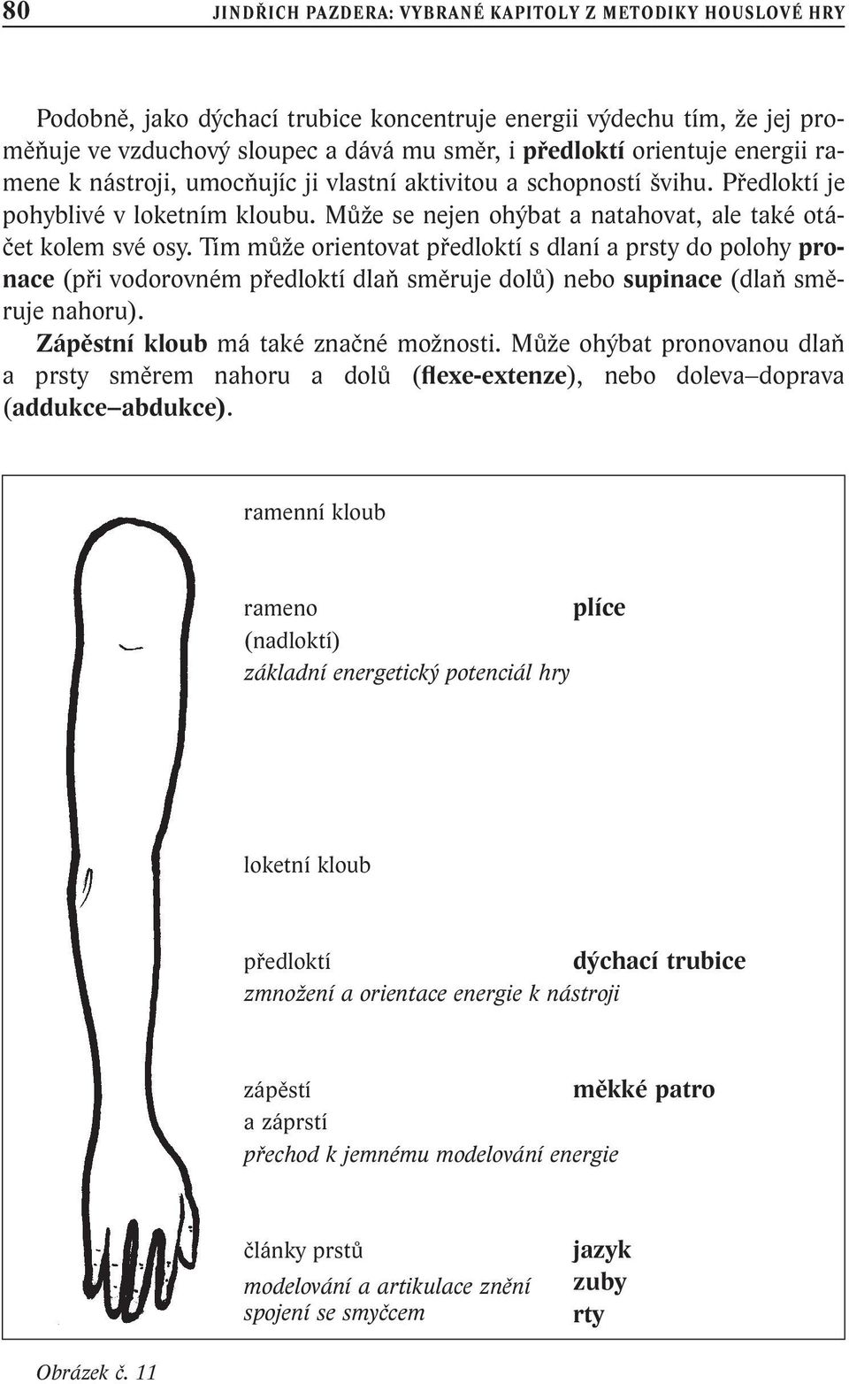 Tím může orientovat předloktí s dlaní a prsty do polohy pronace (při vodorovném předloktí dlaň směruje dolů) nebo supinace (dlaň směruje nahoru). Zápěstní kloub má také značné možnosti.