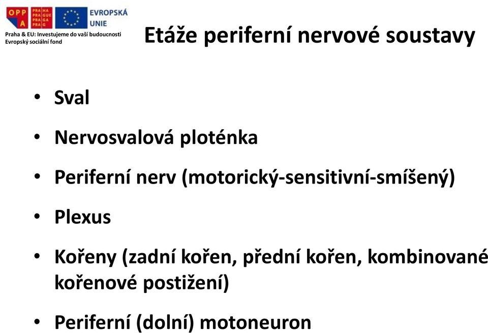 (motorický-sensitivní-smíšený) Plexus Kořeny (zadní