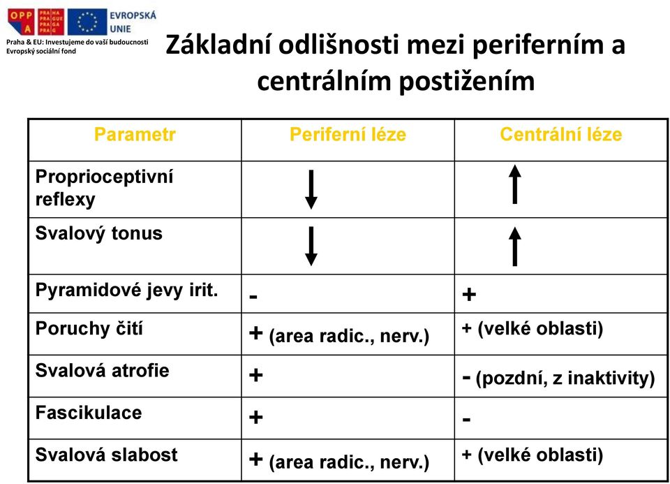 - + Poruchy čití + (area radic., nerv.