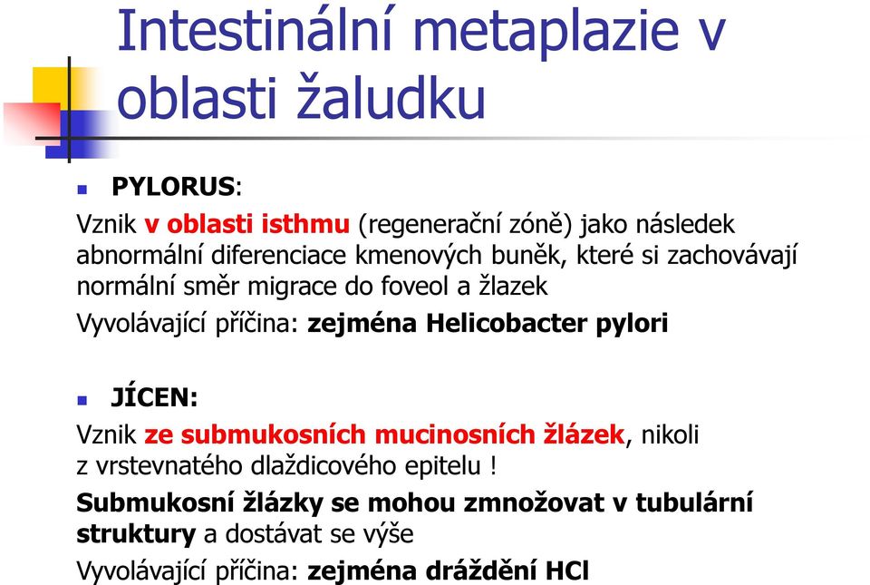 zejména Helicobacter pylori JÍCEN: Vznik ze submukosních mucinosních žlázek, nikoli z vrstevnatého dlaždicového