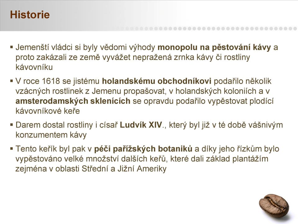 opravdu podařilo vypěstovat plodící kávovníkové keře Darem dostal rostliny i císař Ludvík XIV.