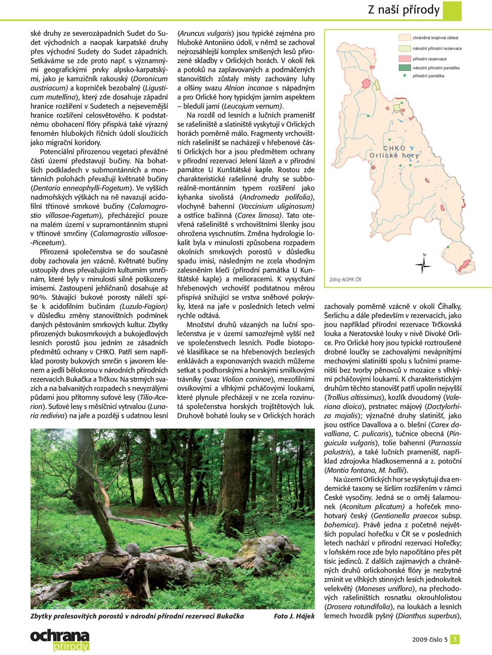 Sudetech a nejsevernější hranice rozšíření celosvětového. K podstatnému obohacení flóry přispívá také výrazný fenomén hlubokých říčních údolí sloužících jako migrační koridory.