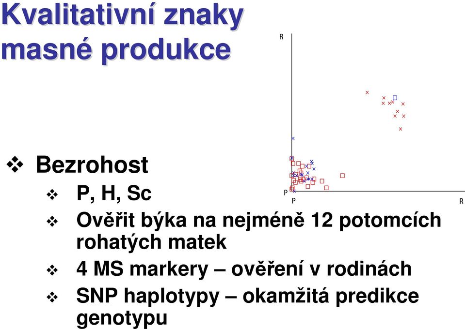 potomcích rohatých matek 4 MS markery