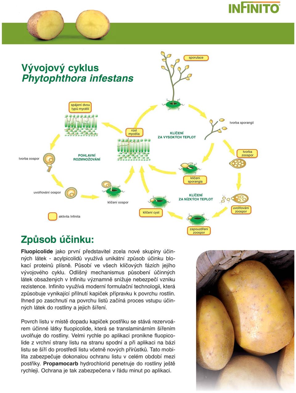 látek - acylpicolidů využívá unikátní způsob účinku blokací proteinů plísně. Působí ve všech klíčových fázích jejího vývojového cyklu.