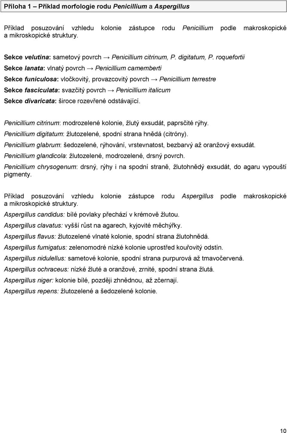 roquefortii Sekce lanata: vlnatý povrch Penicillium camemberti Sekce funiculosa: vločkovitý, provazcovitý povrch Penicillium terrestre Sekce fasciculata: svazčitý povrch Penicillium italicum Sekce