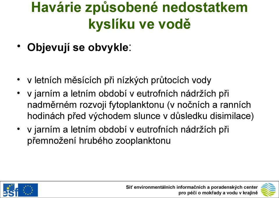 rozvoji fytoplanktonu (v nočních a ranních hodinách před východem slunce v důsledku