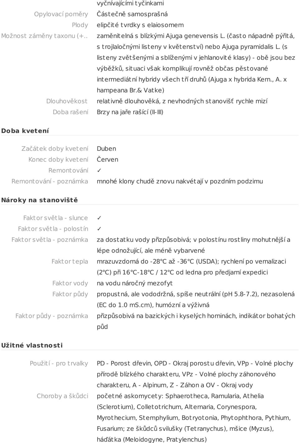 (s list eny zvět šenými a sblíženými v jehlanovit é klasy) - obě jsou bez výběžků, sit uaci však komplikují rovněž občas pěst ované int ermediát ní hybridy všech t ří druhů (Ajuga x hybrida Kern., A.