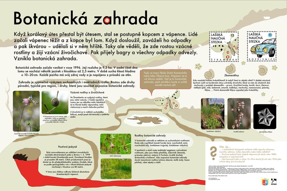 Vznikla botanická zahrada. k o p ř i v n i c e Botanická zahrada začala vznikat v roce 1996. Její rozloha je 9,3 ha. V zadní části dna lomu se nachází několik jezírek s hloubkou až 2,5 metru.