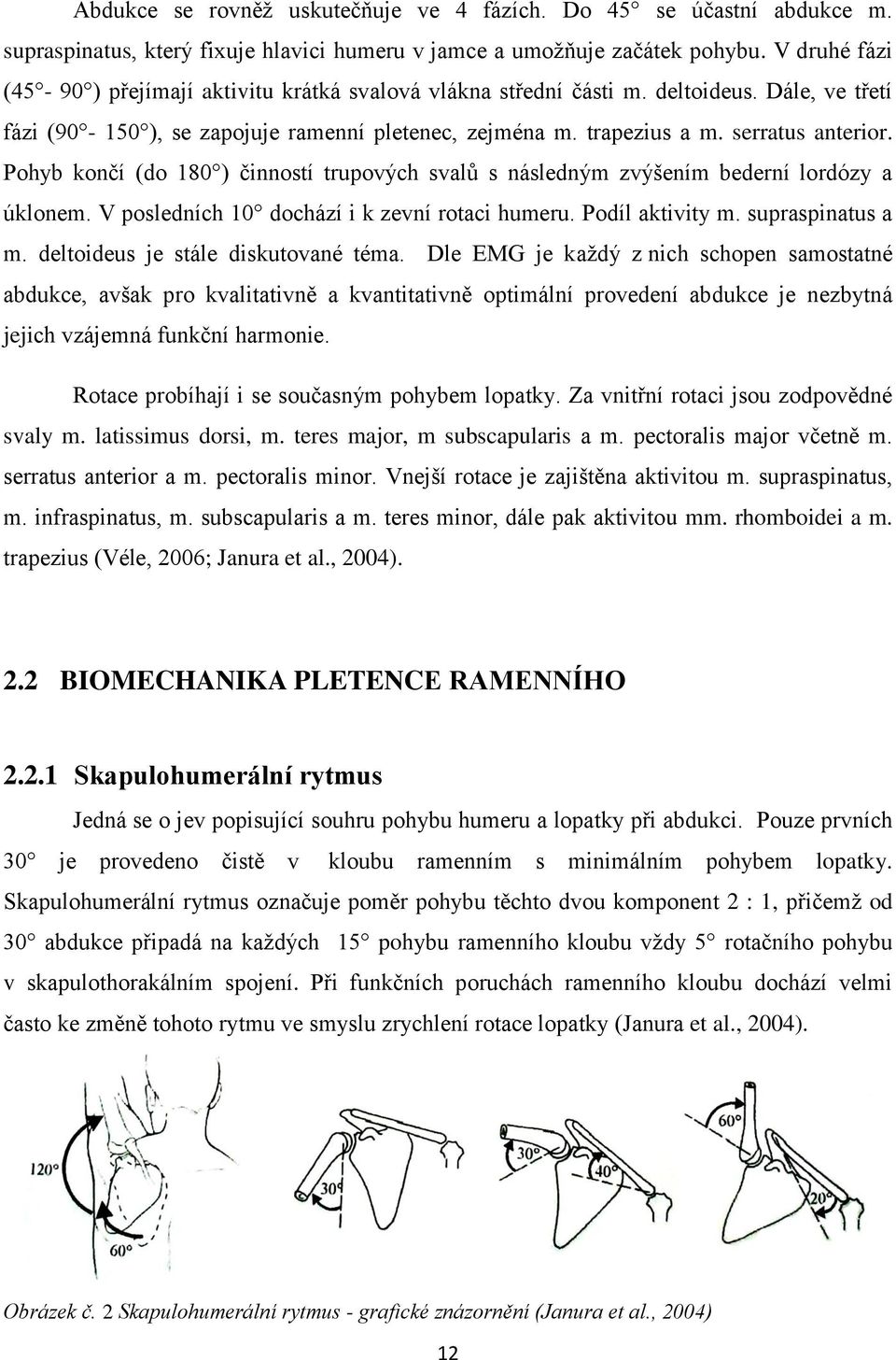 Pohyb končí (do 180 ) činností trupových svalů s následným zvýšením bederní lordózy a úklonem. V posledních 10 dochází i k zevní rotaci humeru. Podíl aktivity m. supraspinatus a m.