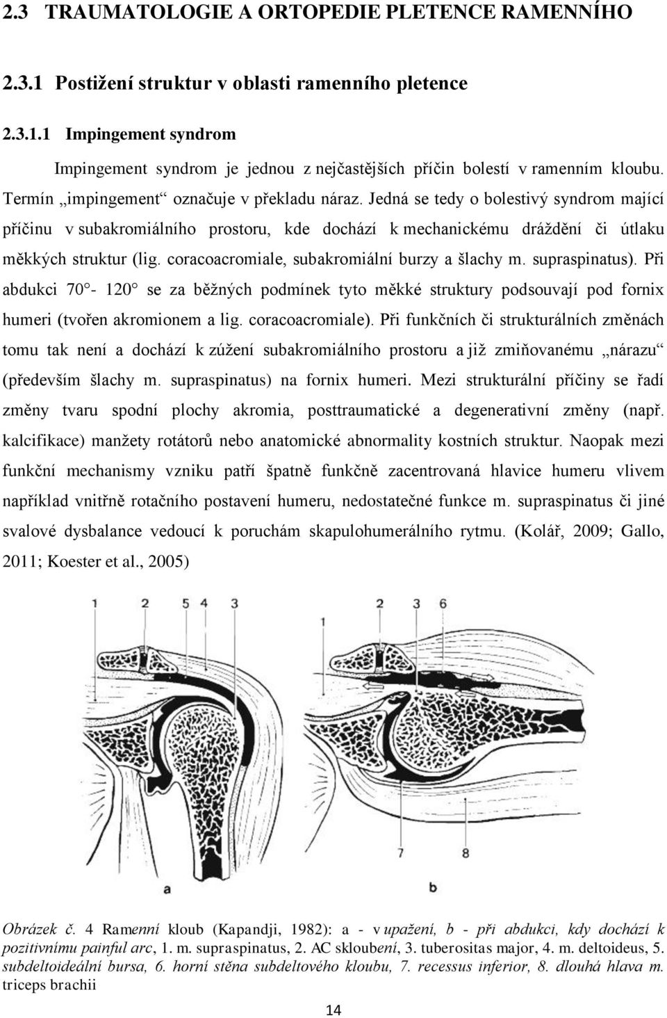 coracoacromiale, subakromiální burzy a šlachy m. supraspinatus). Při abdukci 70-120 se za běžných podmínek tyto měkké struktury podsouvají pod fornix humeri (tvořen akromionem a lig. coracoacromiale).