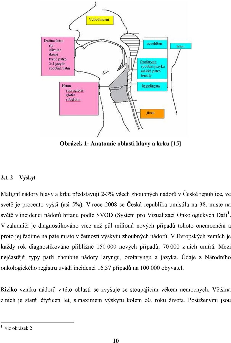 V zahraničí je diagnostikováno více neţ půl milionů nových případů tohoto onemocnění a proto jej řadíme na páté místo v četnosti výskytu zhoubných nádorů.