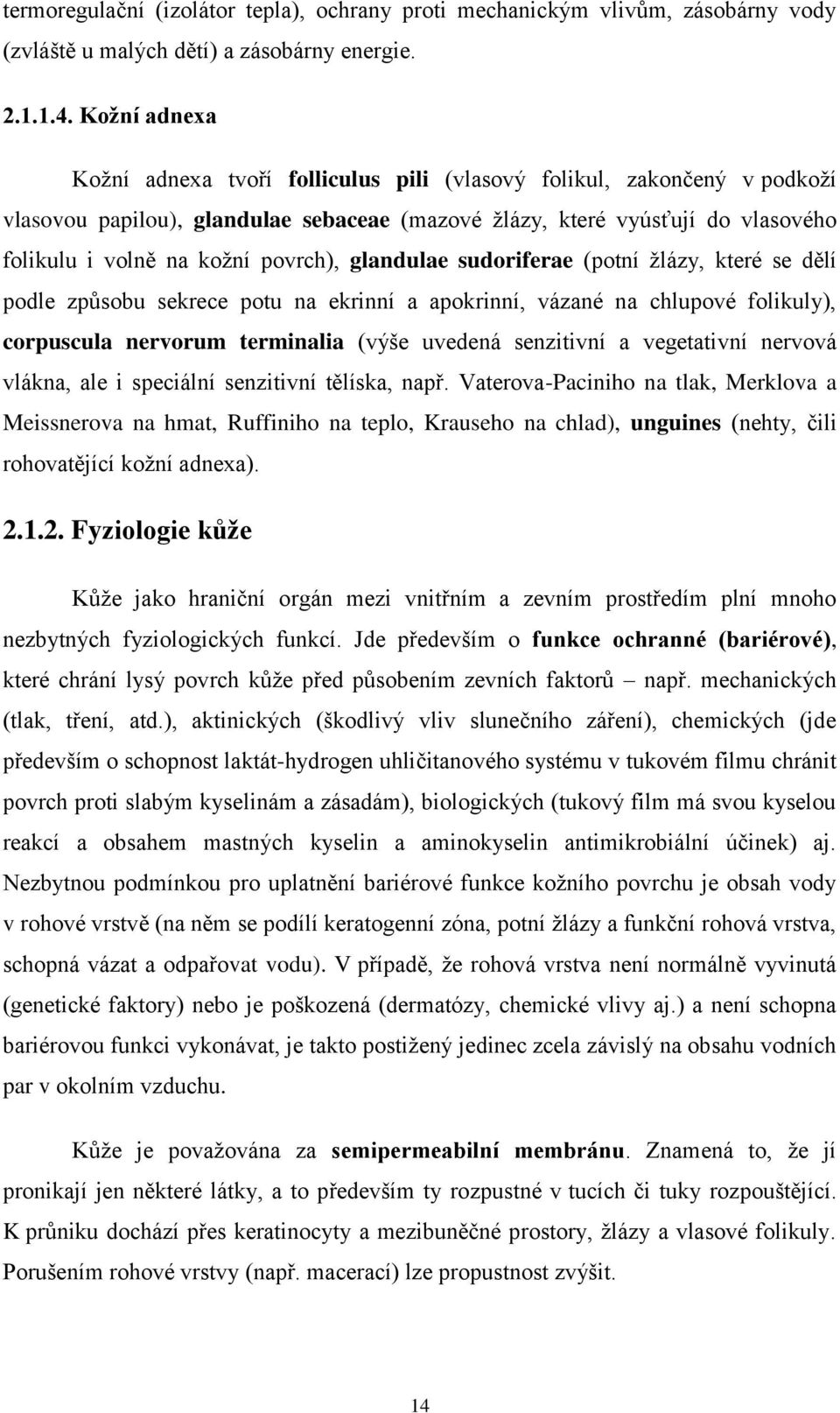 povrch), glandulae sudoriferae (potní žlázy, které se dělí podle způsobu sekrece potu na ekrinní a apokrinní, vázané na chlupové folikuly), corpuscula nervorum terminalia (výše uvedená senzitivní a