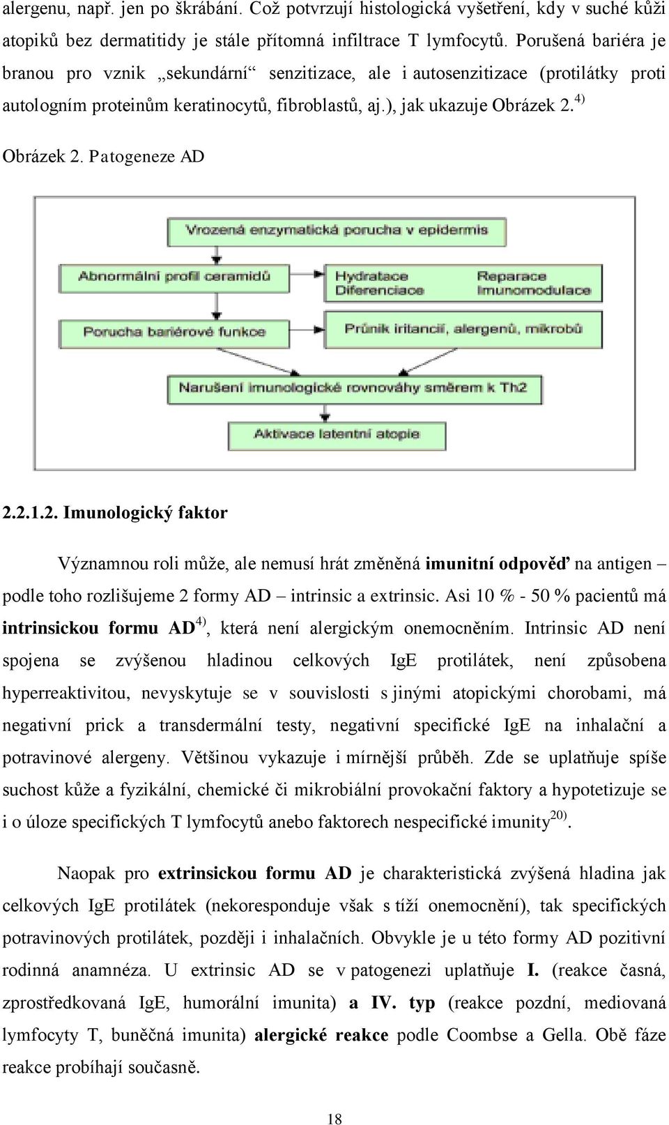 Patogeneze AD 2.2.1.2. Imunologický faktor Významnou roli může, ale nemusí hrát změněná imunitní odpověď na antigen podle toho rozlišujeme 2 formy AD intrinsic a extrinsic.