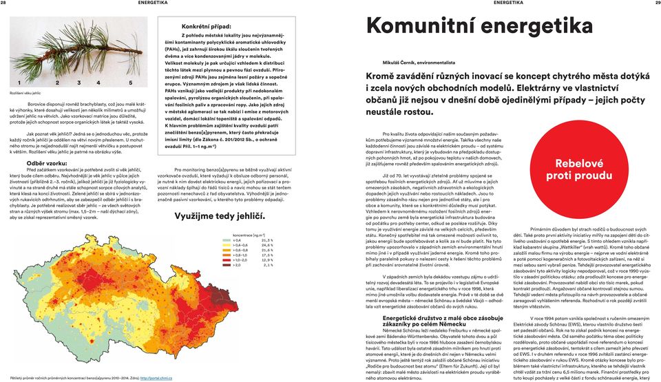 Jedná se o jednoduchou věc, protože každý ročník jehličí je oddělen na větvi novým přeslenem. U mohutného stromu je nejjednodušší najít nejmenší větvičku a postupovat k větším.