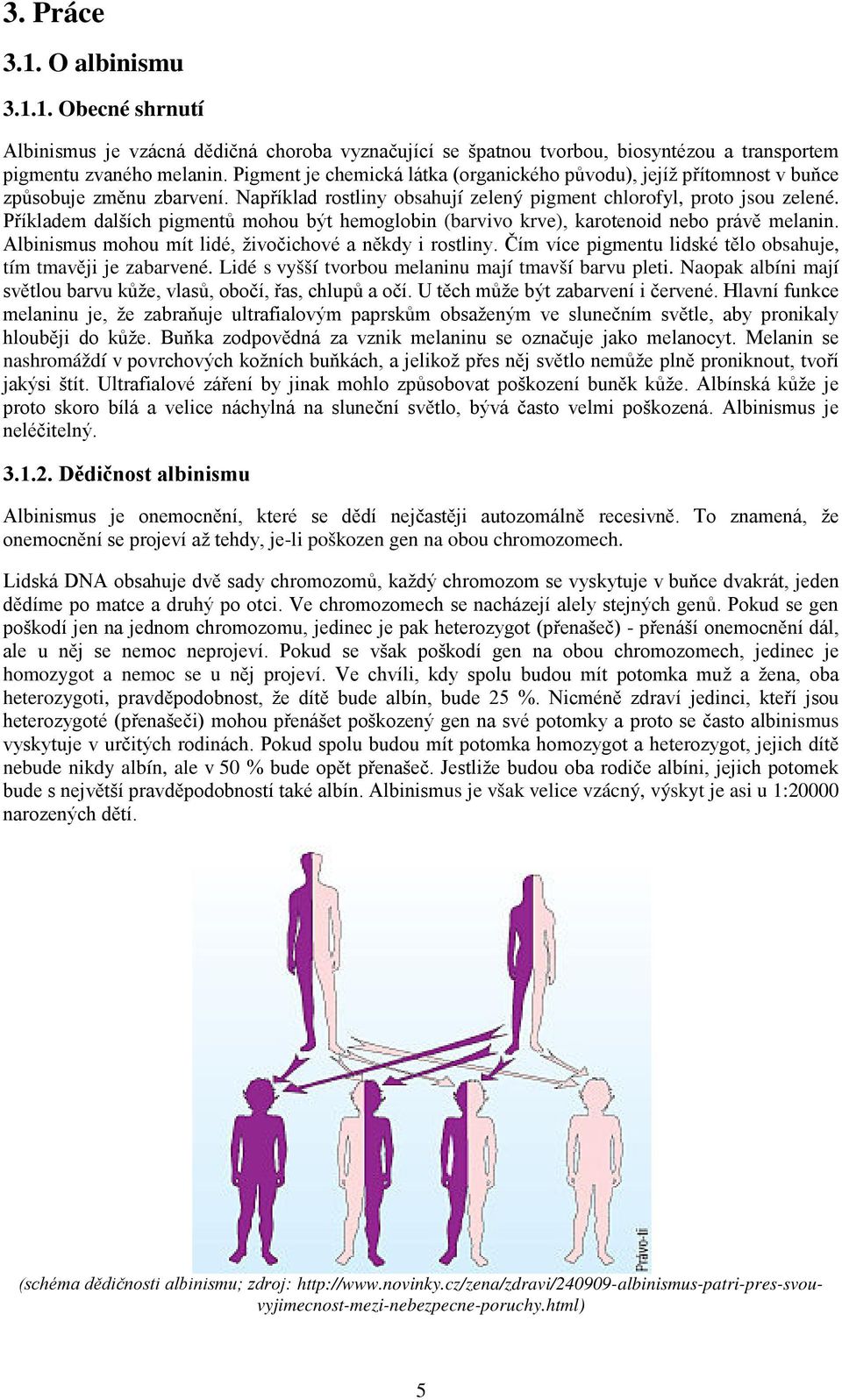 Příkladem dalších pigmentů mohou být hemoglobin (barvivo krve), karotenoid nebo právě melanin. Albinismus mohou mít lidé, živočichové a někdy i rostliny.