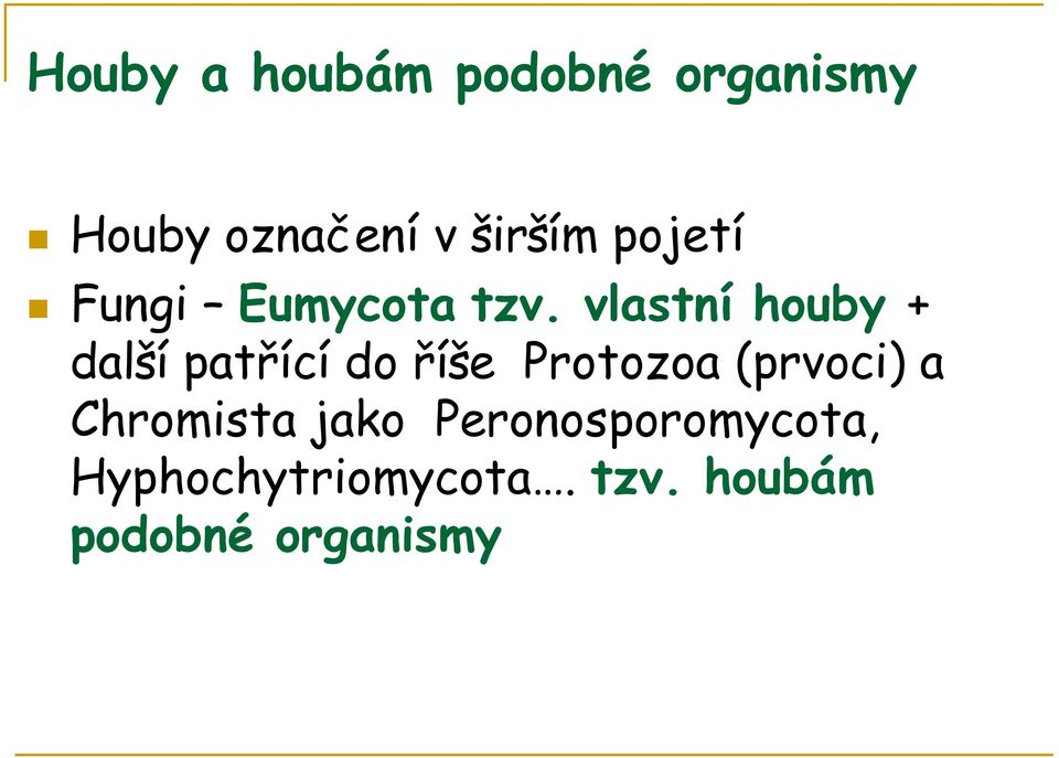 vlastní houby + další patřící do říše Protozoa (prvoci)