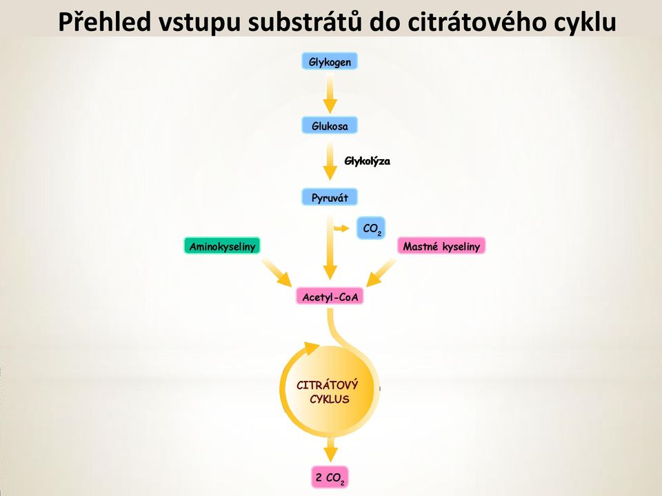 substrátů