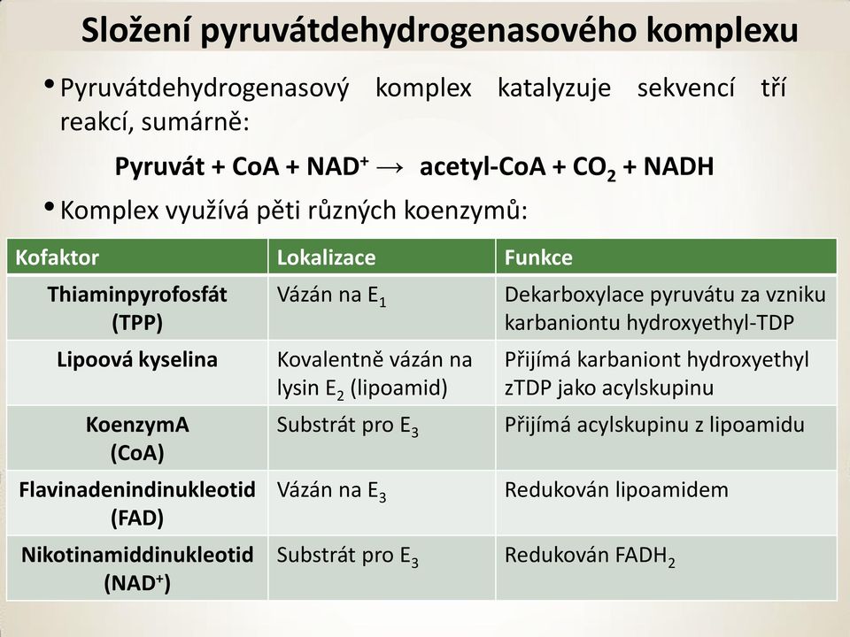 Nikotinamiddinukleotid (NAD + ) Vázán na E 1 Kovalentně vázán na lysin E 2 (lipoamid) Substrát pro E 3 Vázán na E 3 Dekarboxylace pyruvátu za vzniku