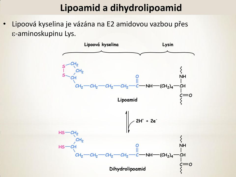 Lipoová kyselina Lysin S 2 S 2 N 2 2 2 2 N ( 2 ) 4