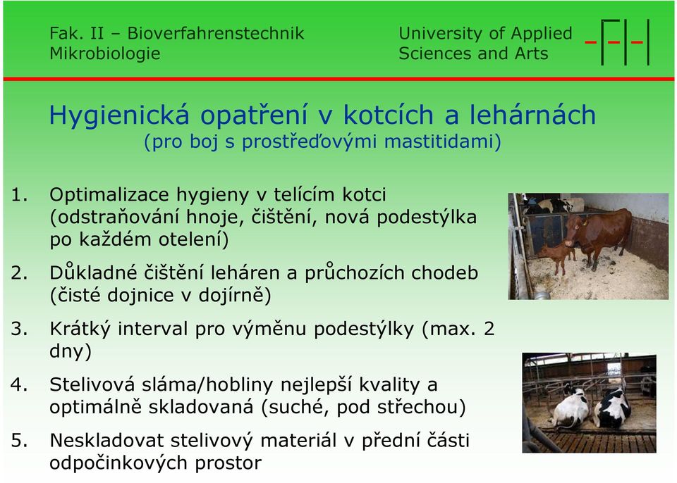 Důkladné čištění leháren a průchozích chodeb (čisté dojnice v dojírně) 3. Krátký interval pro výměnu podestýlky (max.