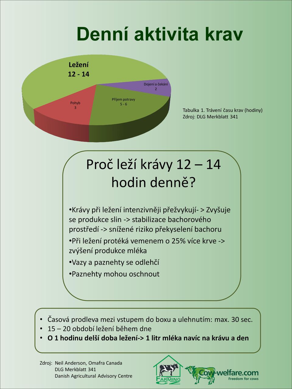 Krávy při ležení intenzivněji přežvykují- > Zvyšuje se produkce slin -> stabilizace bachorového prostředí -> snížené riziko překyselení bachoru Při ležení protéká vemenem