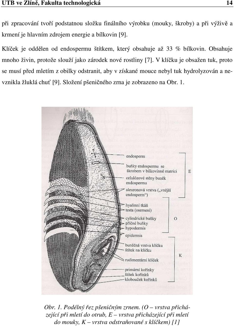 V klíčku je obsažen tuk, proto se musí před mletím z obilky odstranit, aby v získané mouce nebyl tuk hydrolyzován a nevznikla žluklá chuť [9].