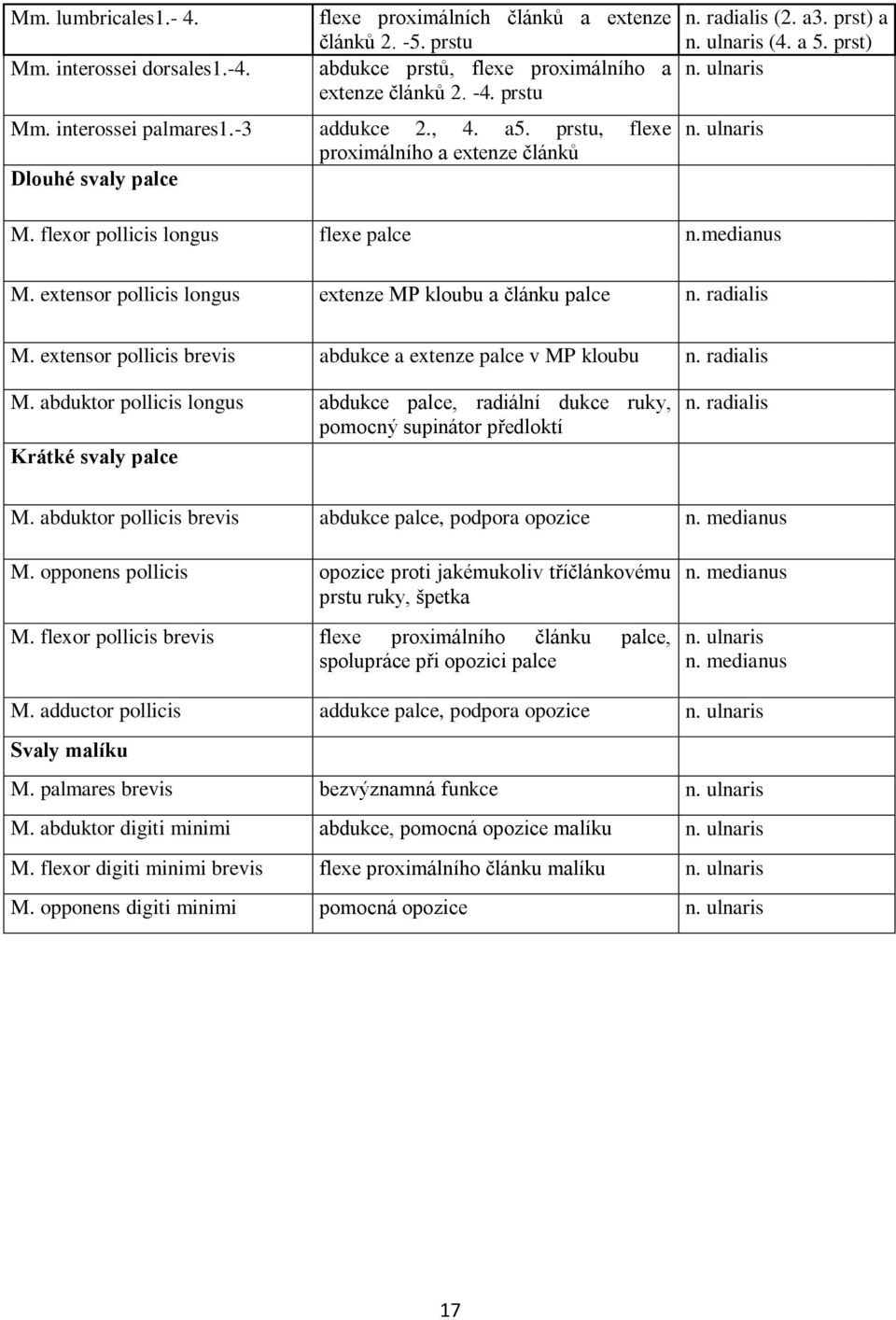 medianus M. extensor pollicis longus extenze MP kloubu a článku palce n. radialis M. extensor pollicis brevis abdukce a extenze palce v MP kloubu n. radialis M. abduktor pollicis longus abdukce palce, radiální dukce ruky, pomocný supinátor předloktí Krátké svaly palce n.