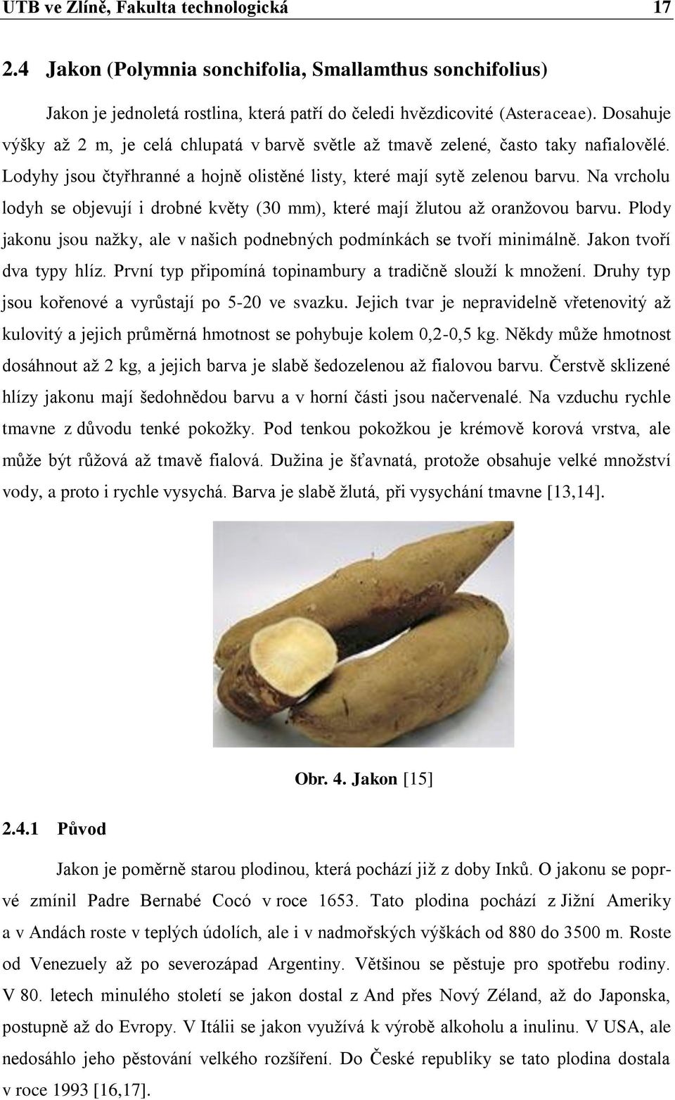 Na vrcholu lodyh se objevují i drobné květy (30 mm), které mají žlutou až oranžovou barvu. Plody jakonu jsou nažky, ale v našich podnebných podmínkách se tvoří minimálně. Jakon tvoří dva typy hlíz.