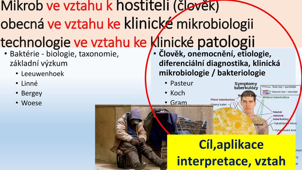 výzkum Leeuwenhoek Linné Bergey Woese Člověk, onemocnění, etiologie, diferenciální