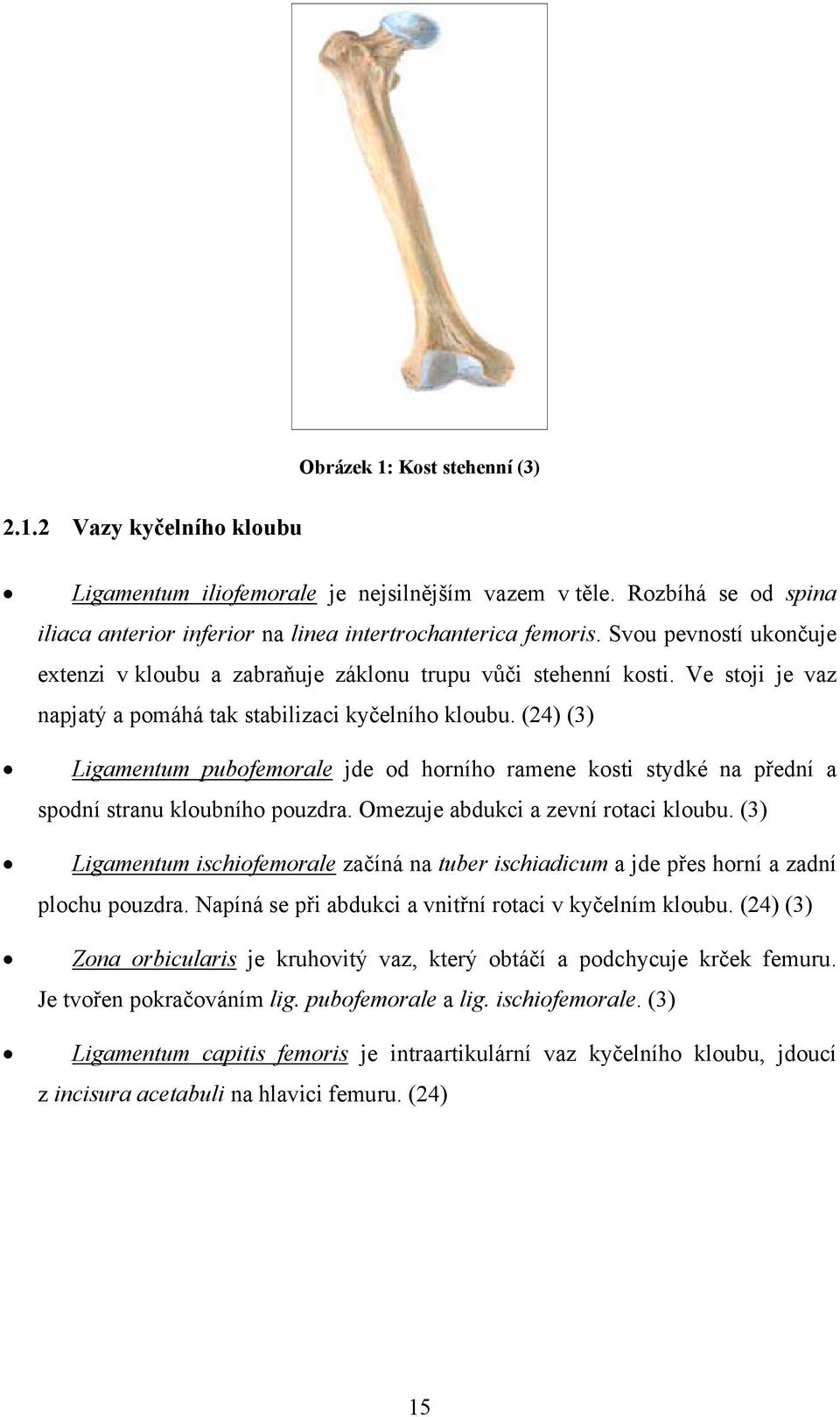 (24) (3) Ligamentum pubofemorale jde od horního ramene kosti stydké na přední a spodní stranu kloubního pouzdra. Omezuje abdukci a zevní rotaci kloubu.