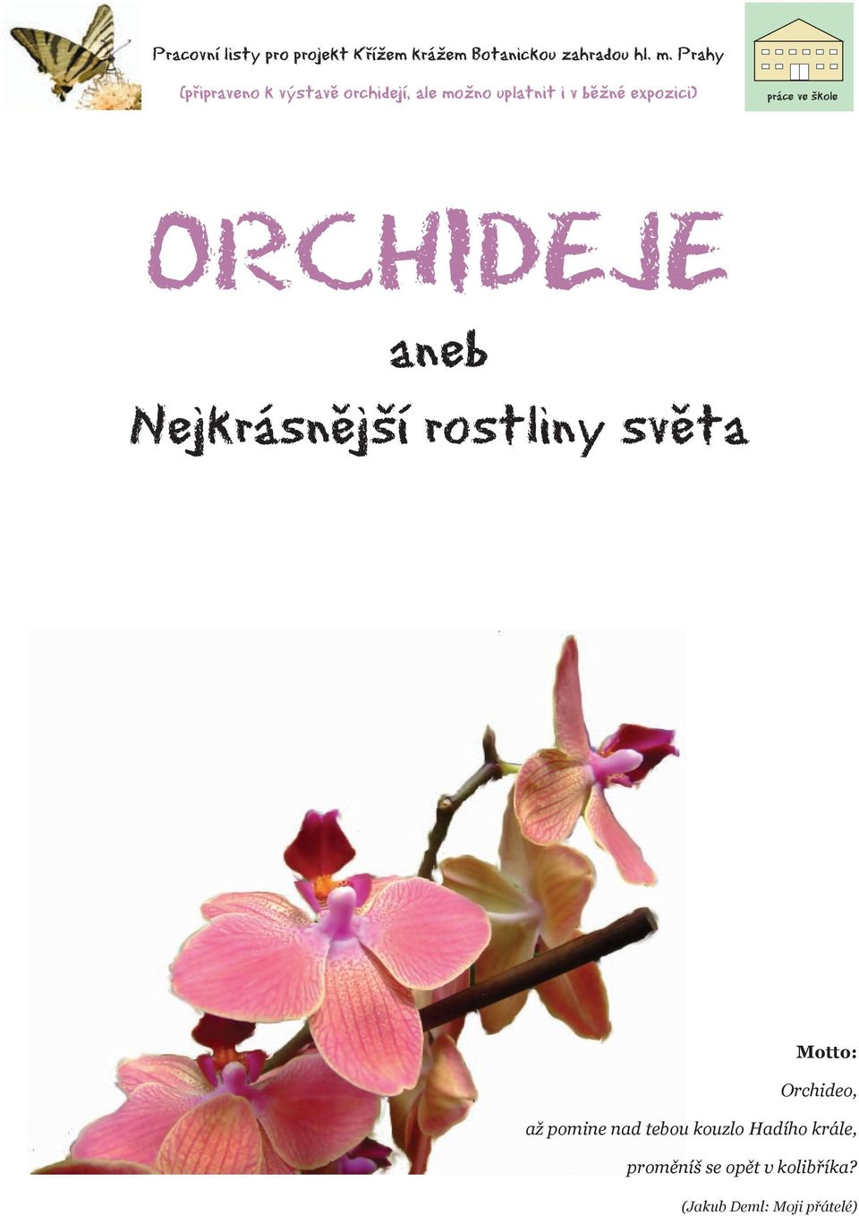 práce ve škole ORCHIDEJE aneb Nejkrásnější rostliny světa Motto: Orchideo, až