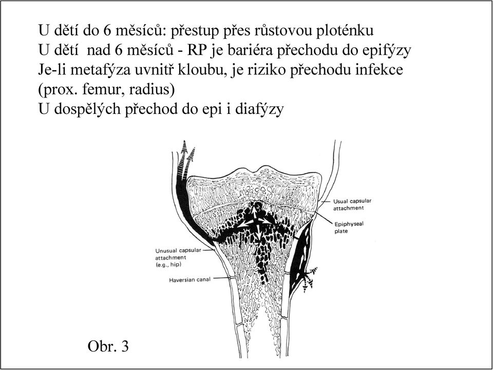 metafýza uvnitř kloubu, je riziko přechodu infekce (prox.