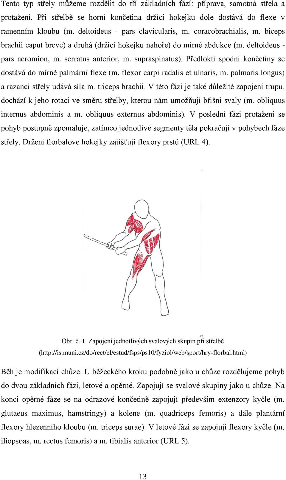 supraspinatus). Předloktí spodní končetiny se dostává do mírné palmární flexe (m. flexor carpi radalis et ulnaris, m. palmaris longus) a razanci střely udává síla m. triceps brachii.