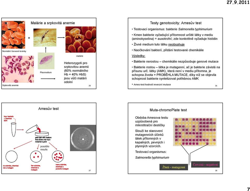 nerostou chemikálie nezpůsobuje genové mutace Heterozygoti pro srpkovitou anemii (60% normálního Hb + 40% HbS) jsou vůči malárii odolní Bakterie rostou látka je mutagenní, ač je bakterie závislá na