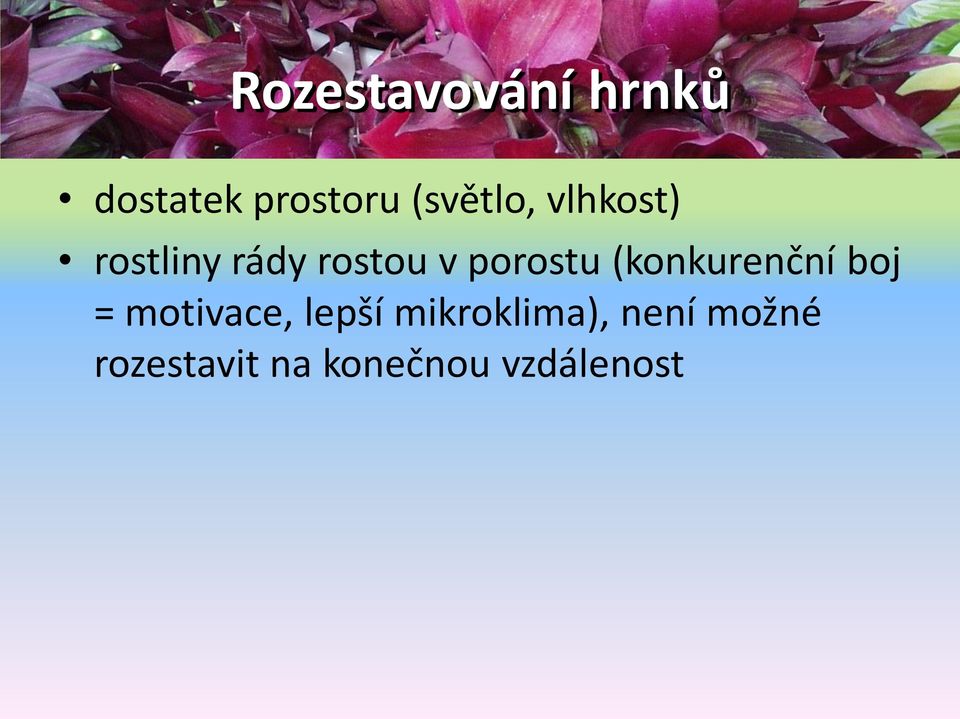 porostu (konkurenční boj = motivace, lepší