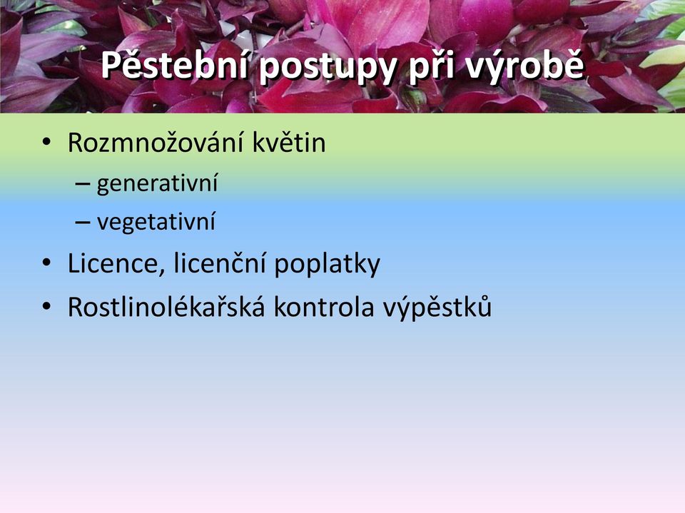 vegetativní Licence, licenční