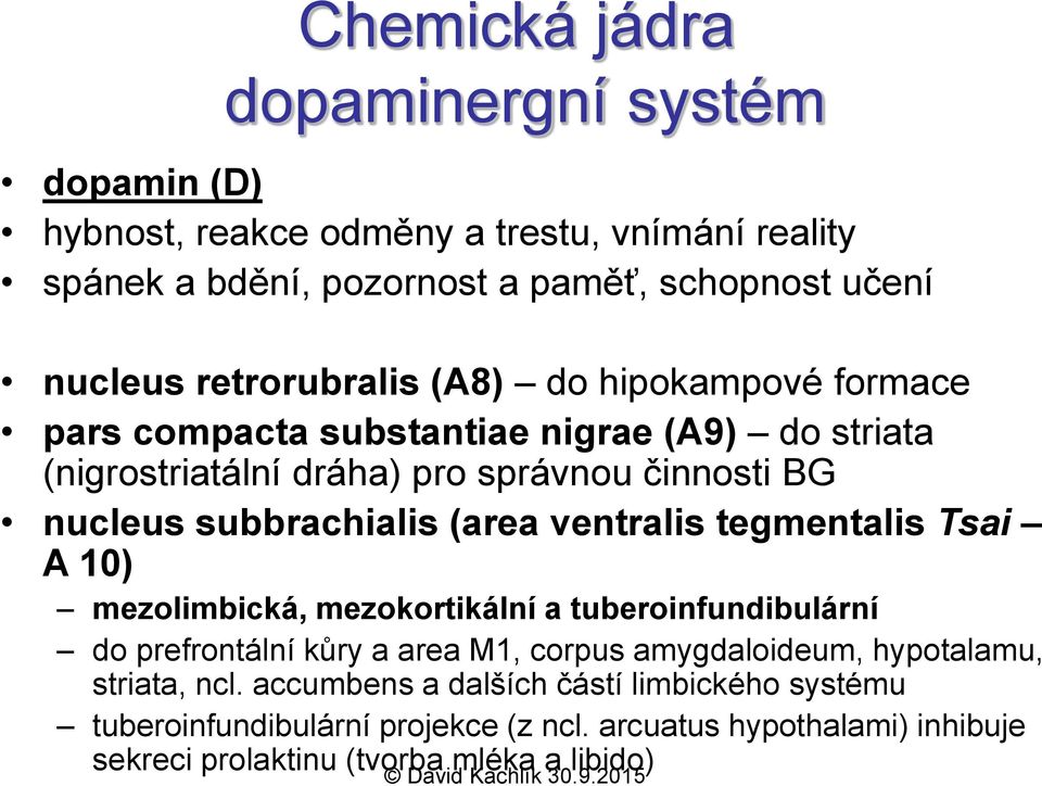 subbrachialis (area ventralis tegmentalis Tsai A 10) mezolimbická, mezokortikální a tuberoinfundibulární do prefrontální kůry a area M1, corpus amygdaloideum,