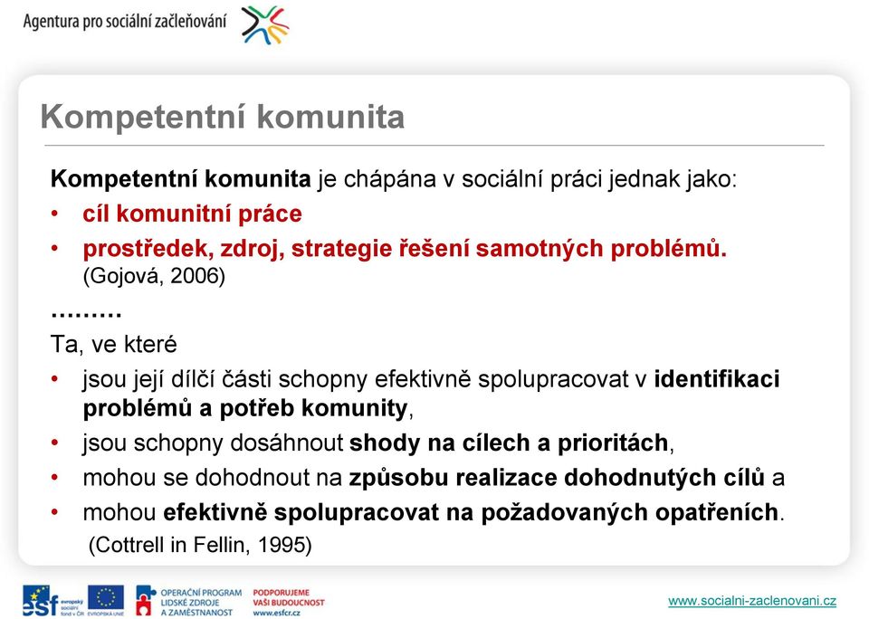 (Gojová, 2006) Ta, ve které jsou její dílčí části schopny efektivně spolupracovat v identifikaci problémů a potřeb