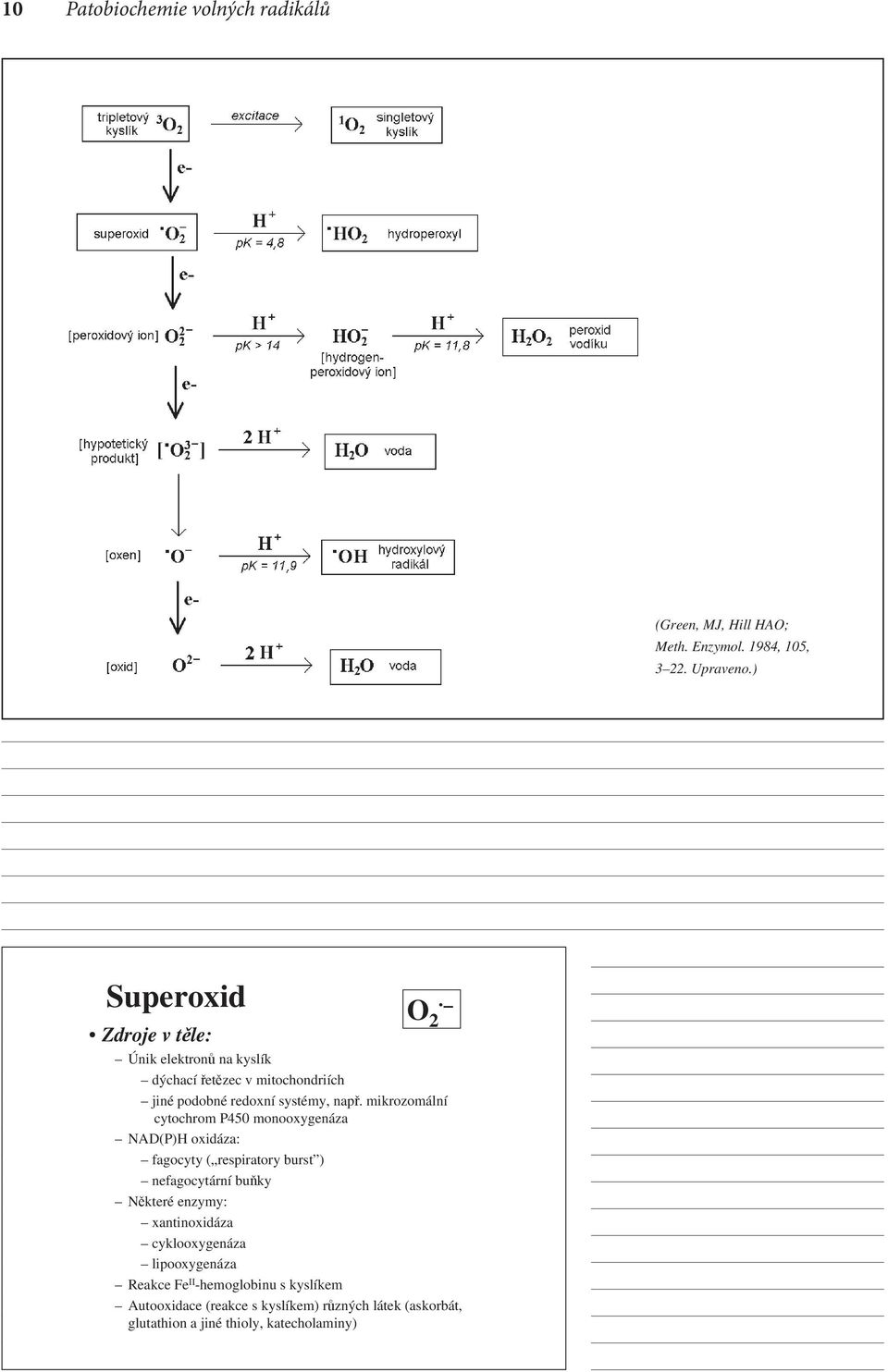 mikrozomální cytochrom P450 monooxygenáza NAD(P)H oxidáza: fagocyty ( respiratory burst ) nefagocytární buňky Některé enzymy: