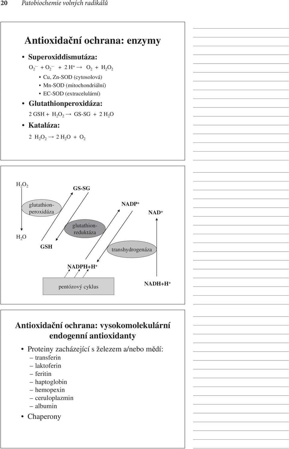 + NAD + H 2 O GSH glutathionperoxidáza glutathionreduktáza transhydrogenáza NADPH+H + pentózový cyklus NADH+H + Antioxidační ochrana: