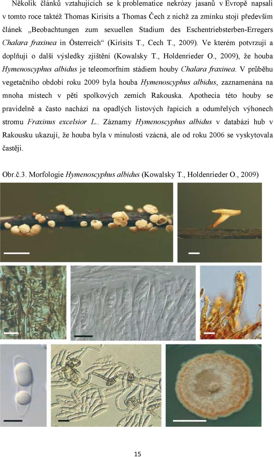 , 2009), že houba Hymenoscyphus albidus je teleomorfním stádiem houby Chalara fraxinea.