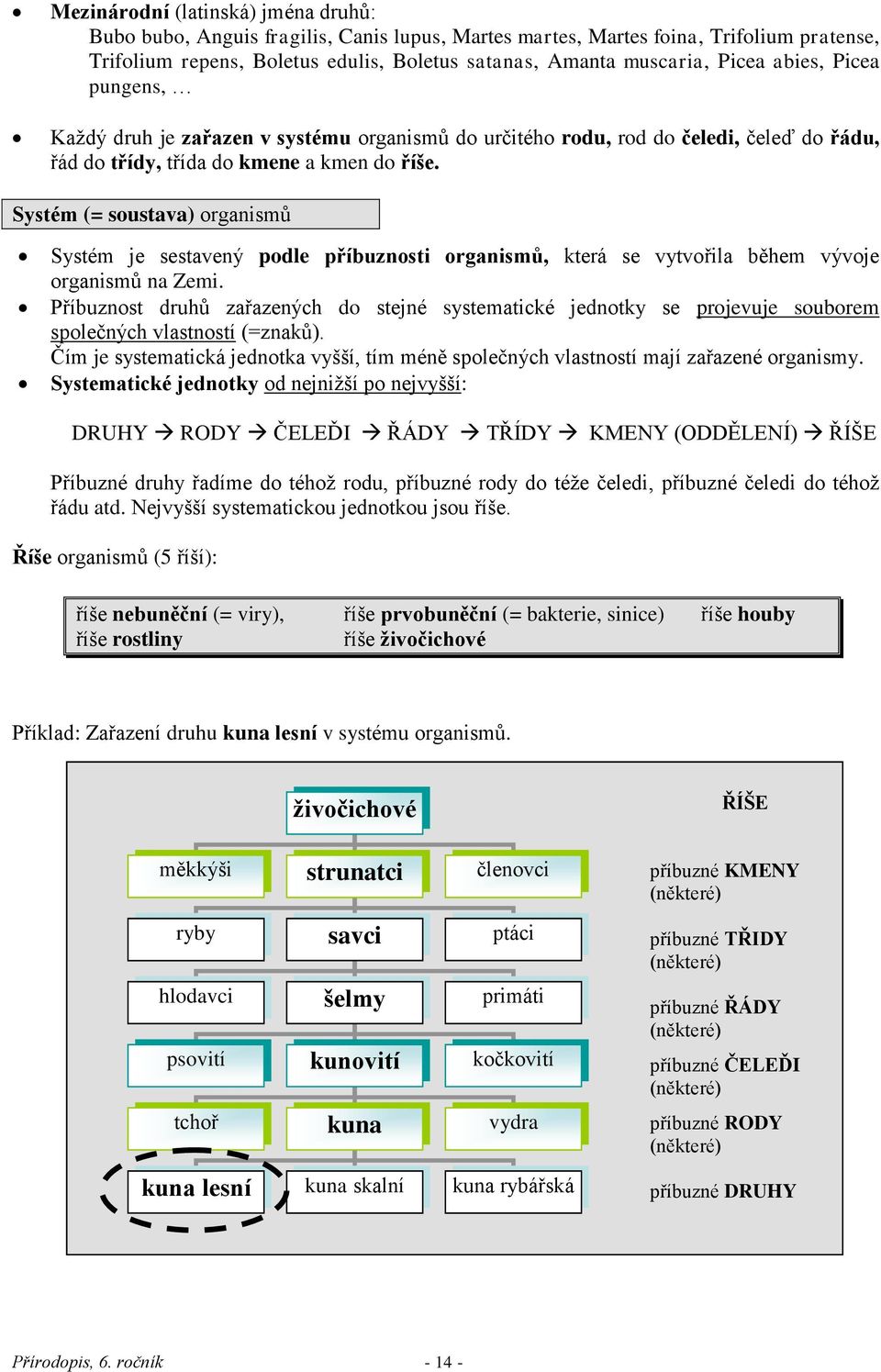 Systém (= soustava) organismů Systém je sestavený podle příbuznosti organismů, která se vytvořila během vývoje organismů na Zemi.